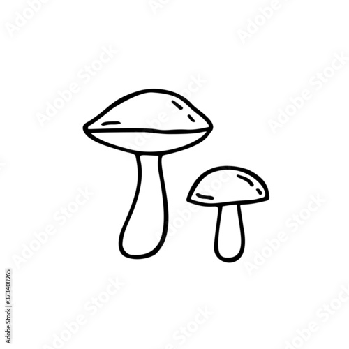 Two porcini mushroom. Hand drawn vector doodle elements.