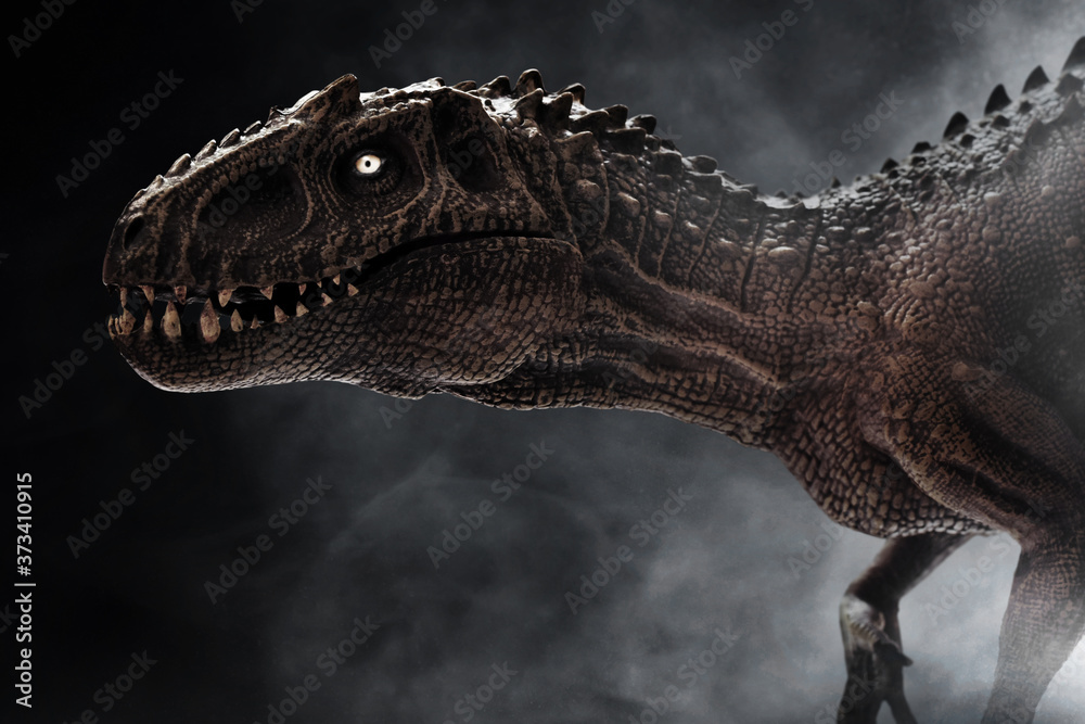 Dinosaur, Tyrannosaurus Rex on dark background - obrazy, fototapety, plakaty 