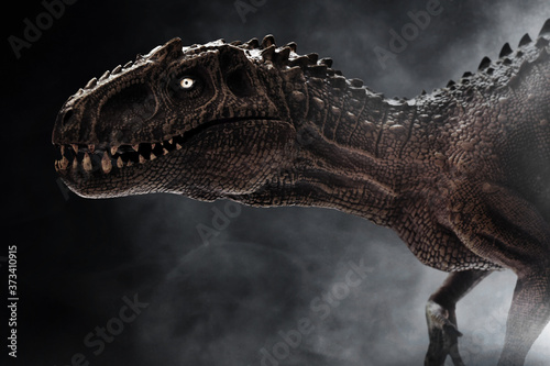 Dinosaur, Tyrannosaurus Rex on dark background