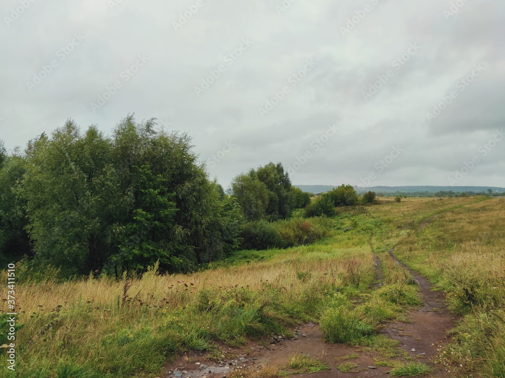 country road in a field near trees against a gray sky on a rainy day country road in a field near trees against a gray sky on a rainy day
