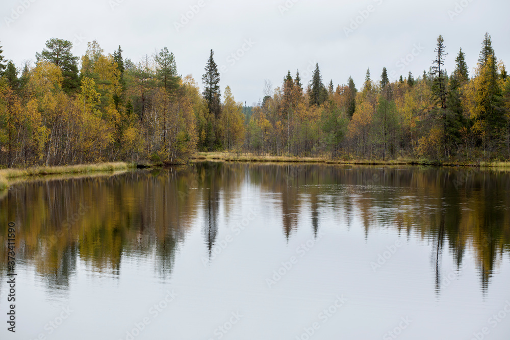 Forest lake in Finnish taiga forest during the time of autumn foliage