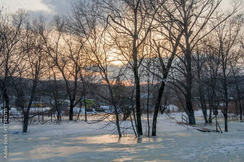 Winter sunset view of bare trees in covered with ice river, Tigrovoe, Primorsky Krai, Russia