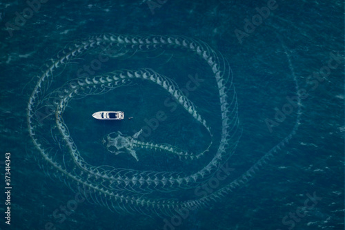Billede på lærred The sea serpent