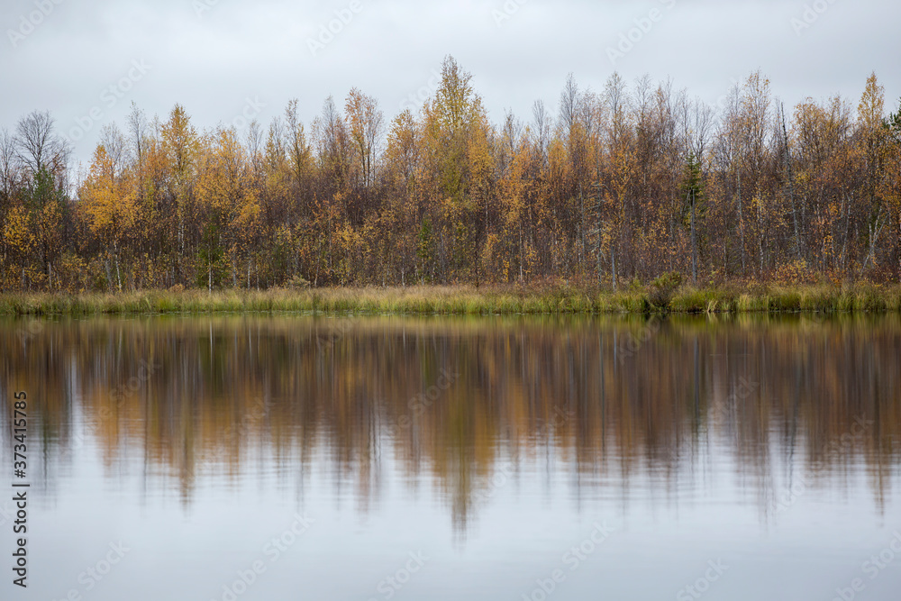 Forest lake in Finnish taiga forest during the time of autumn foliage
