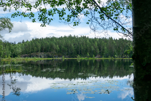 Scene at hiking trail in Nuuksio national park, Espoo, Finland. photo