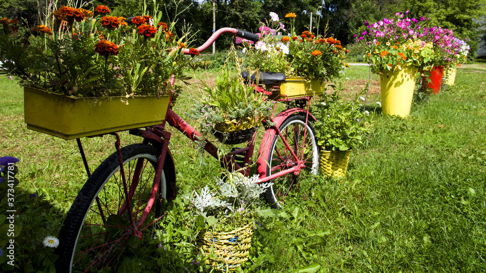 bicycle and flowers