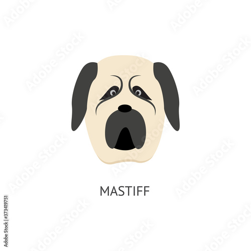 Cartoon mastif dog head isolated on white background