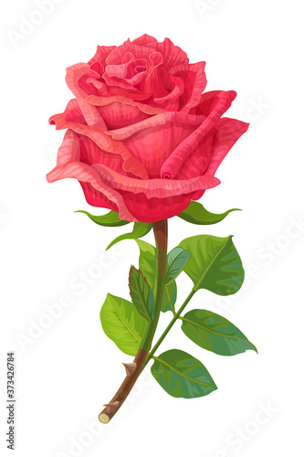 vector realistic rose flower art