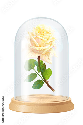 vector white rose, glass flask