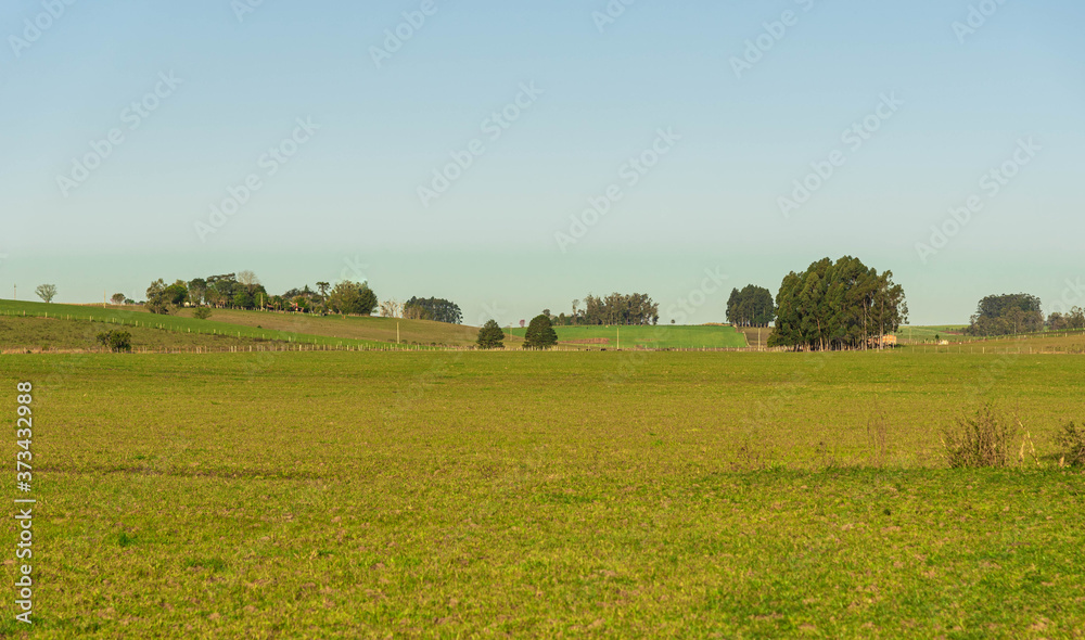 Fototapeta premium Farm fields producing and raising livestock in southern Brazil