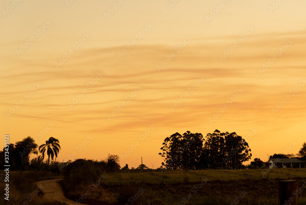 Late afternoon and evening in the fields of the Pampa Biome in southern Brazil