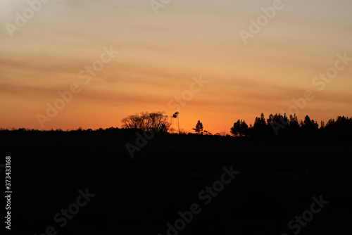 Late afternoon and evening in the fields of the Pampa Biome in southern Brazil © Alex R. Brondani
