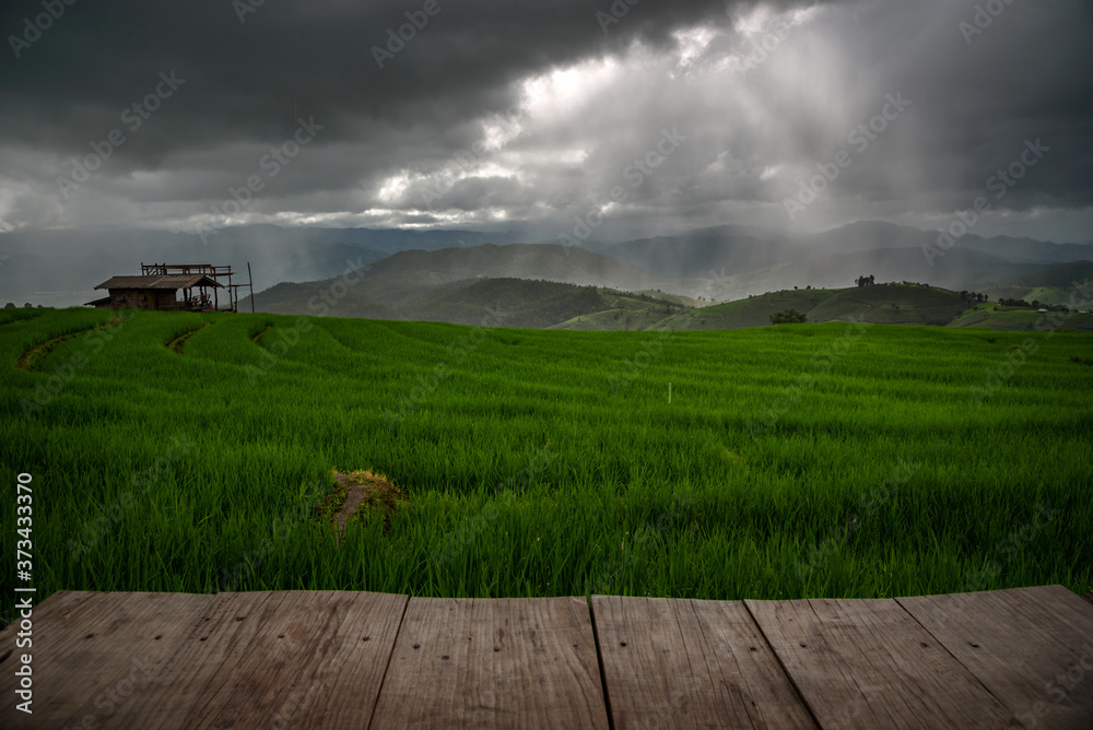 Obraz premium The beautiful scenery of the green terraced rice field with light rays while raining at Bong Piang forest in the rainy season in Mae Chaem, Chiang Mai, Thailand.