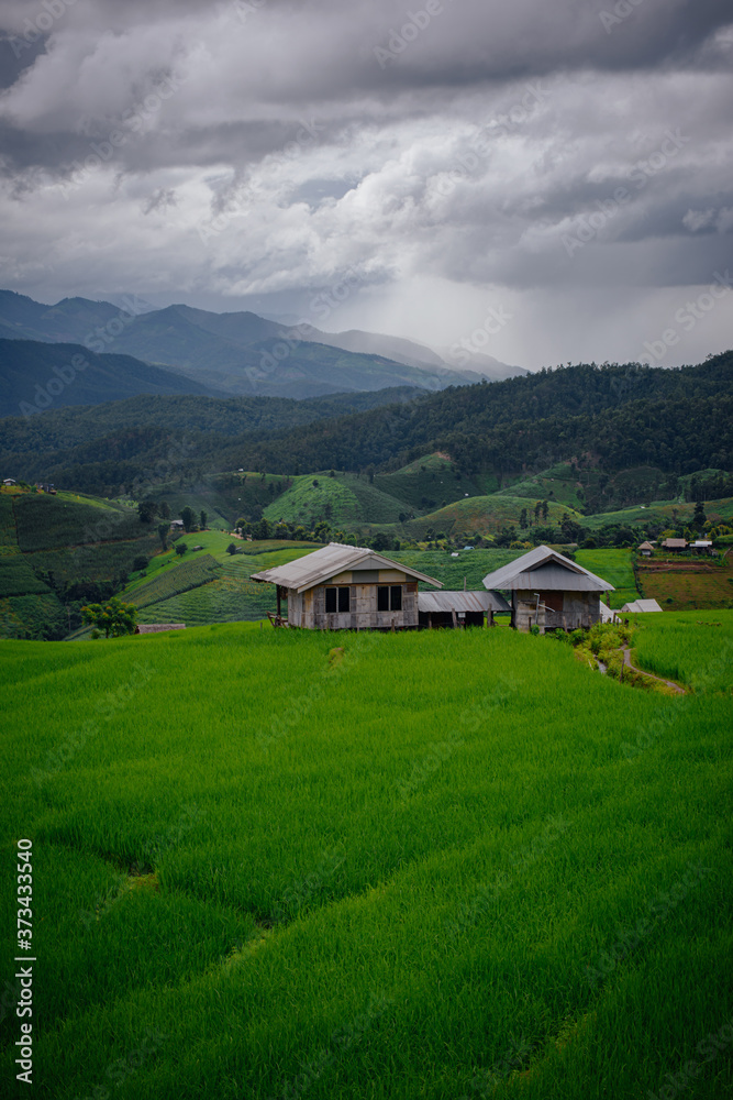 The beautiful scenery of the green terraced rice field of Bong Piang forest village in the rainy season in Mae Chaem, Chiang Mai, Thailand.