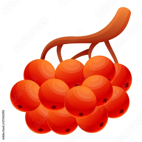 Rowan tree branch icon. Cartoon of rowan tree branch vector icon for web design isolated on white background