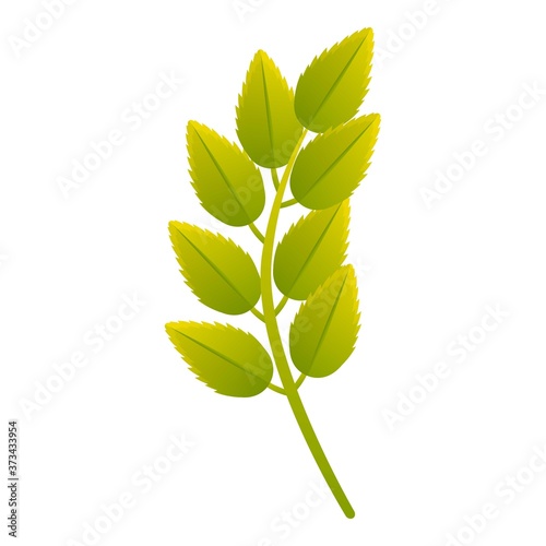Rowan leaf icon. Cartoon of rowan leaf vector icon for web design isolated on white background