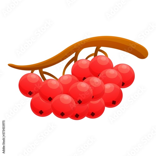 Red rowan icon. Cartoon of red rowan vector icon for web design isolated on white background