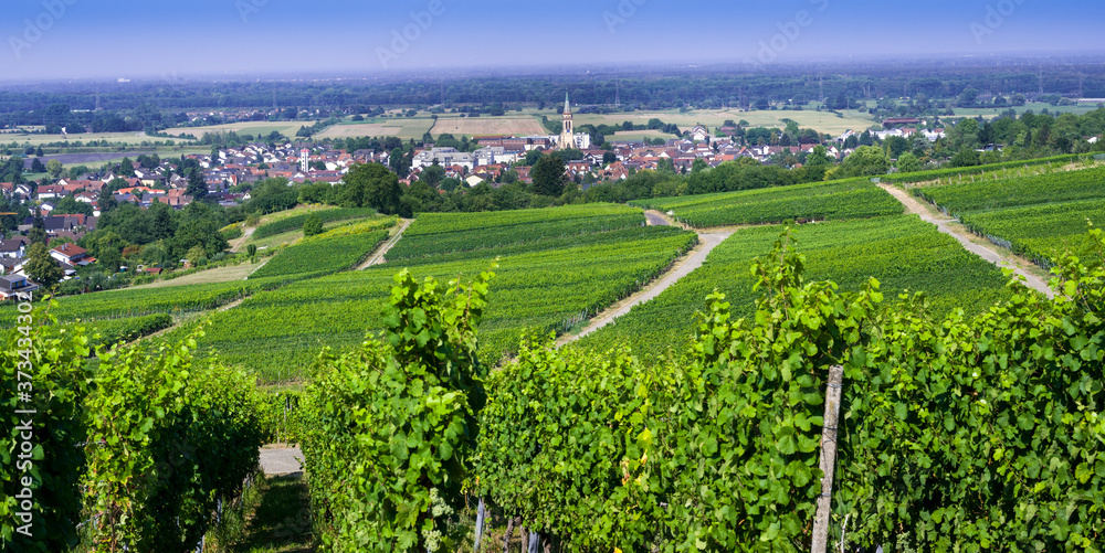 Naklejka premium View from Fremersberg to the town of Sinzheim with the Rhine valley near Baden Baden. Baden Wuerttemberg, Germany