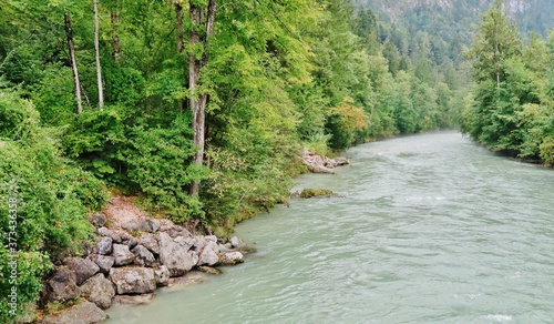 Berchtesgadener Ache, von Wald gesäumt photo