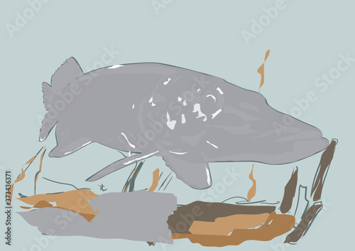 a pike in the river