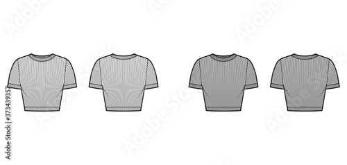 Ribbed cropped cotton-jersey t-shirt technical fashion illustration with scoop neck, short sleeves, close fit. Flat sweater apparel template front back white grey color. Women men unisex knit top