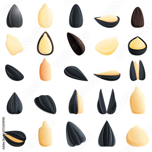 Sunflower seed icons set. Cartoon set of sunflower seed vector icons for web design