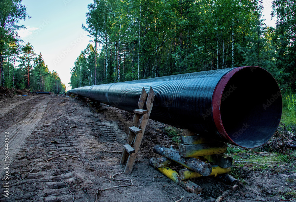 Construction Gas Pipeline Project. Natural Gas and Crude oil Transmission in pipe to LNG plant (shipped by LPG tanker). Building of transit petrochemical pipe in forest area. Pipes Welding Construction Gas Pipeline Project. Natural Gas and Crude oil Transmission in pipe to LNG plant (shipped by LPG tanker). Building of transit petrochemical pipe in forest area. Pipes Welding
