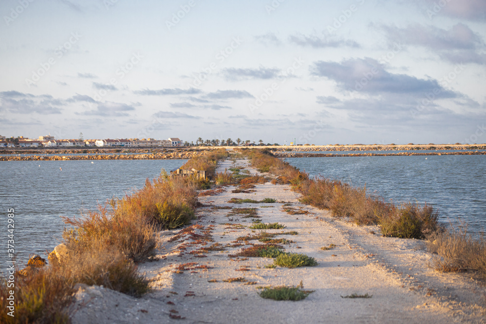 path in salt flats of San Pedro del Pinatar, Murcia, Spain