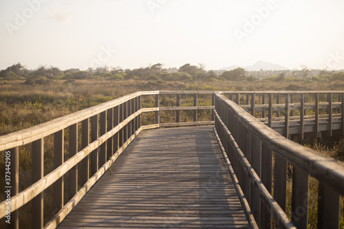 wooden path to beach in San Pedro del Pinatar, Murcia, Spain © Raquel