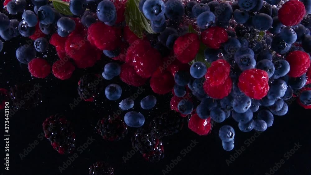 Blueberries, blackberries and raspberries splashing in to the water. Lots of berries falling slowly on a black background. Organic forest fruit  isolated on black background. 