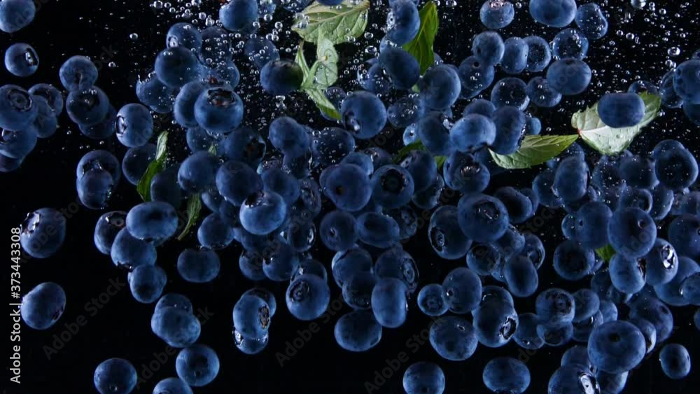 Blueberries and mint leafs falling down in to the water. Lots of blueberries falling slowly on a black background. Organic forest fruit  isolated on black background. Fresh water with fruits.