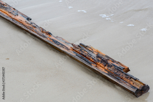 piece of wood on the beach