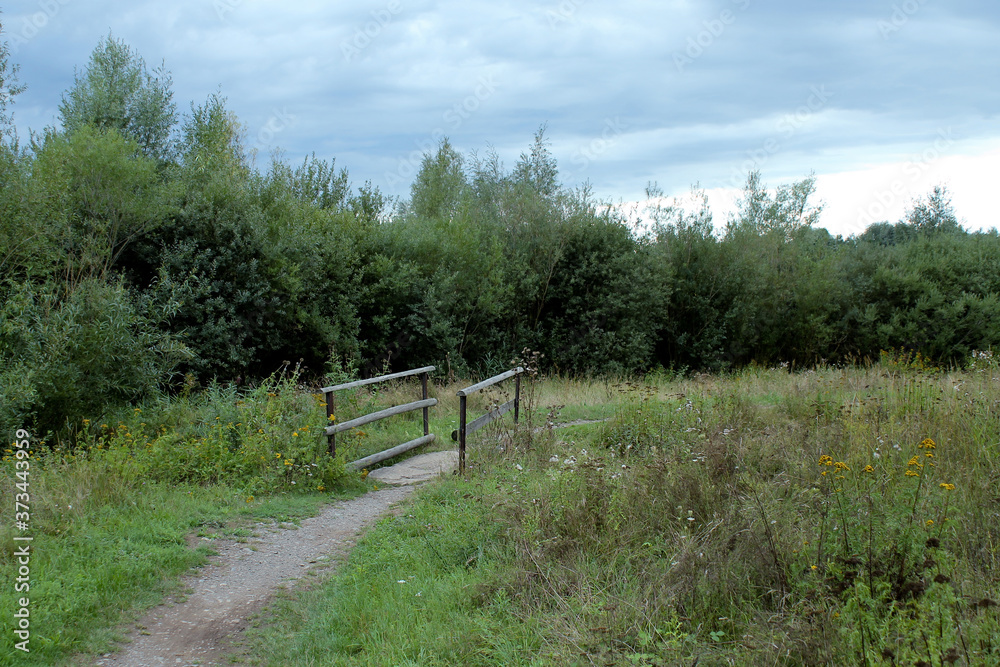 Eine Brücke an einem Waldweg im Sommer Eine Brücke an einem Waldweg im Sommer