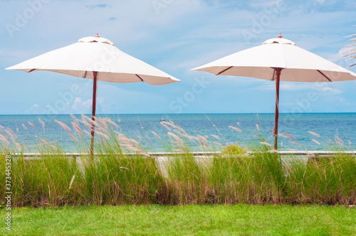 Beach bar and white beach umbrellas with green yard and white flags  blue sky and blue sea in summer.