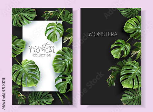 Vector tropical frames with green monstera leaves on black background. Luxury exotic botanical design for cosmetics, wedding invitation, summer banner, spa, perfume, beauty, travel, packaging design
