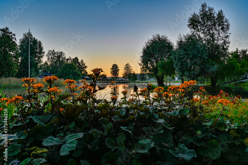 Fototapeta Naklejka Na Ścianę i Meble -  sunset over calm pond in silent park