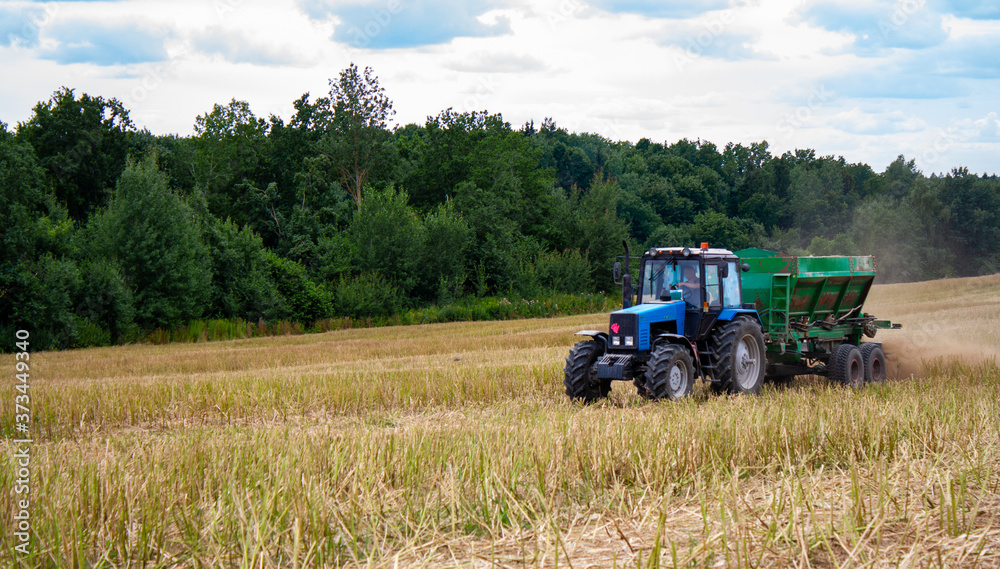 Old blue tractor with a trailer works in a mown rapeseed field against the backdrop of a forest on a sunny day. Seasonal work on a tractor for processing the earth with mineral substances Old blue tractor with a trailer works in a mown rapeseed field against the backdrop of a forest on a sunny day. Seasonal work on a tractor for processing the earth with mineral substances