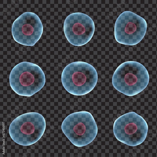 Realistic human cells set isolated on transparent background. 3d elements for science, medicine, biology poster, placard, flyer, presentation, etc