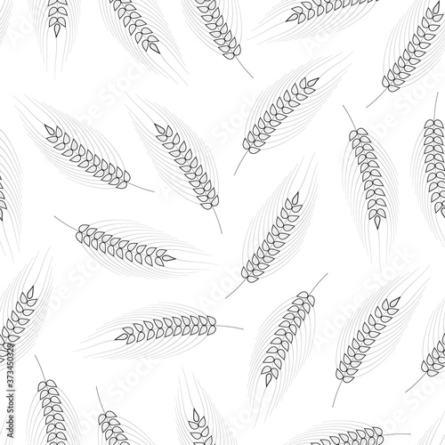 Seamless pattern with cereal. Barley, malt, rye, wheat ears for bakery background. Vintage beer texture. Vector isolated illustration.