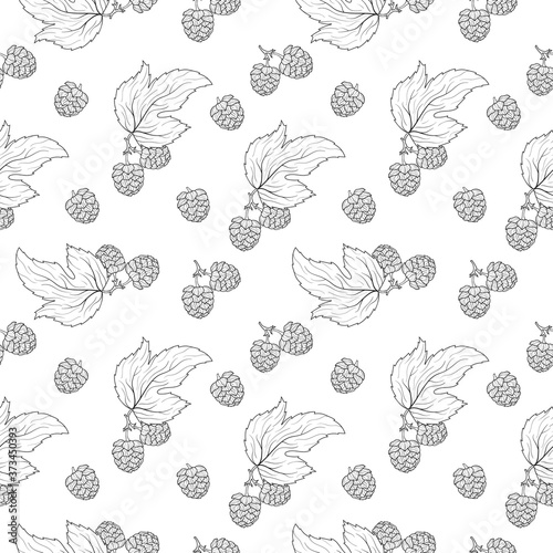 Seamless pattern with hop cones in engraving style. Vintage texture for pub or wallpaper. Vector isolated illustration. Menu background.