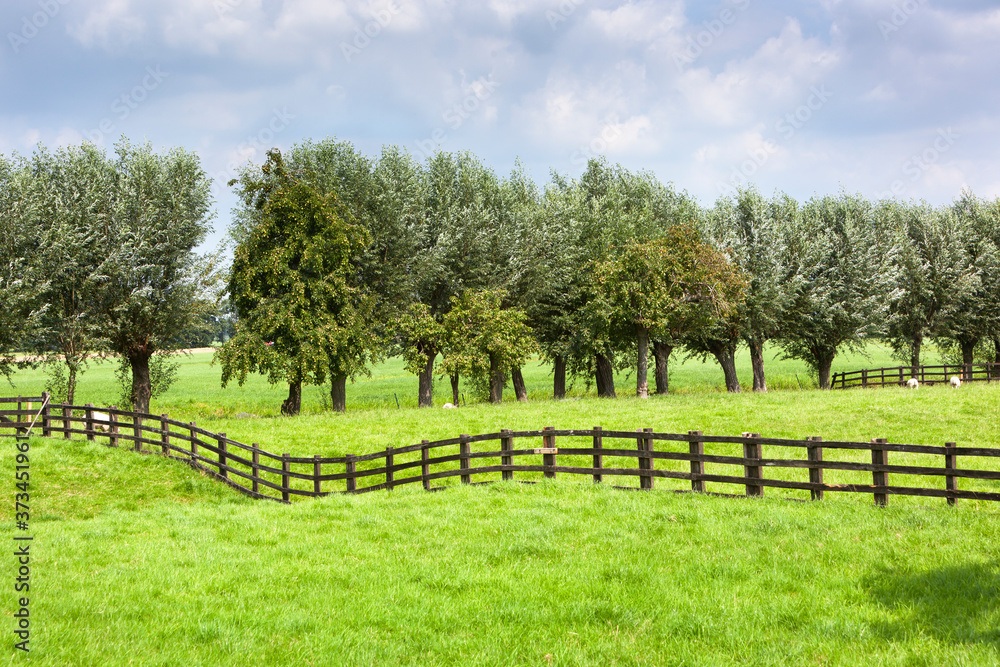 Dutch rural grass landscape with a wooden fence in Meerkerk in the Netherlands