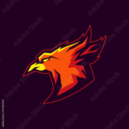 Modern professional logo for sport team. Firebird mascot. Phoenix, vector symbol on a dark background.