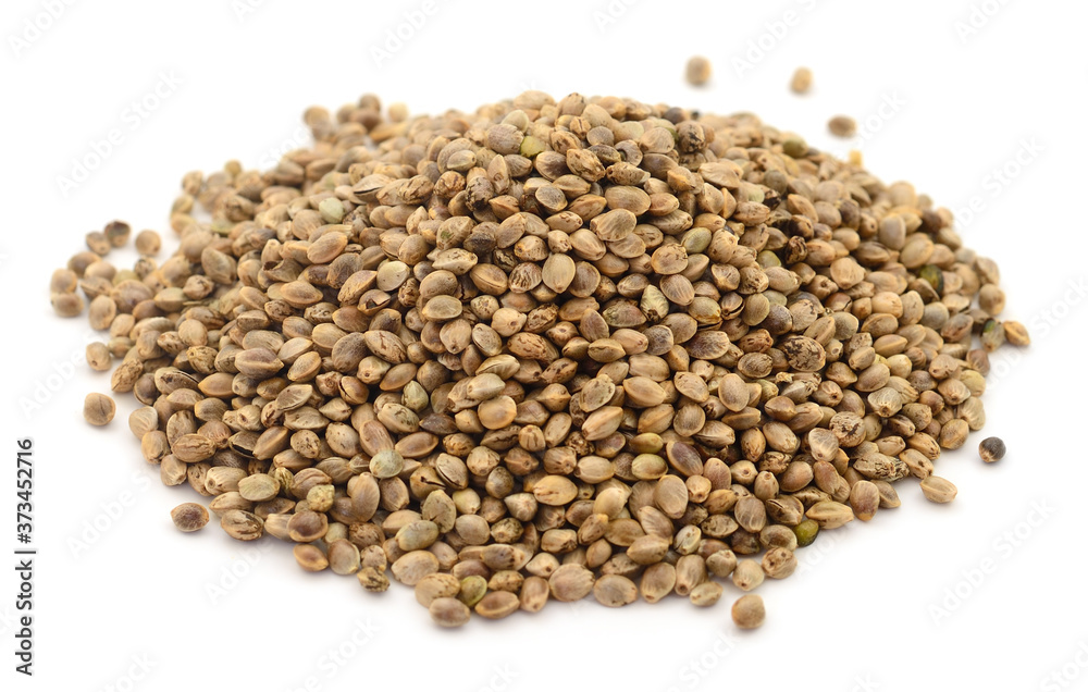 Heap of hemp seeds. Heap of hemp seeds.