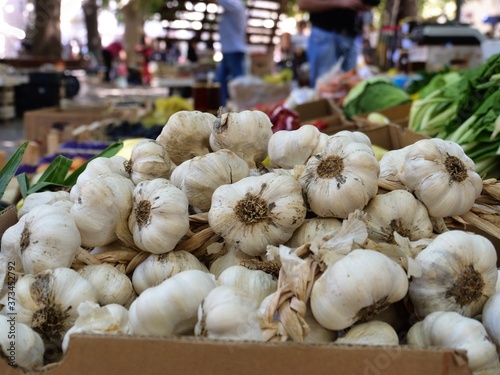 
homemade garlic on the market