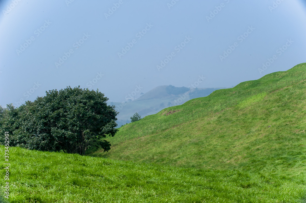 Fototapeta premium The beautiful landscape of green field and mountain.