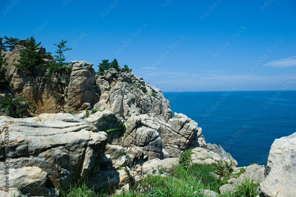 The beautiful pine tree at rock island background sea.