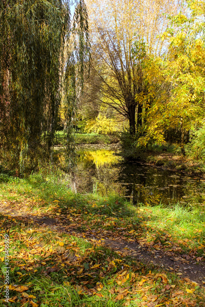 Autumn Landscape. Paths In The Park Are Covered With Yellowed Fallen Leaves