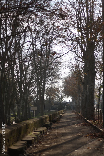 Footpath in autumn © Germán