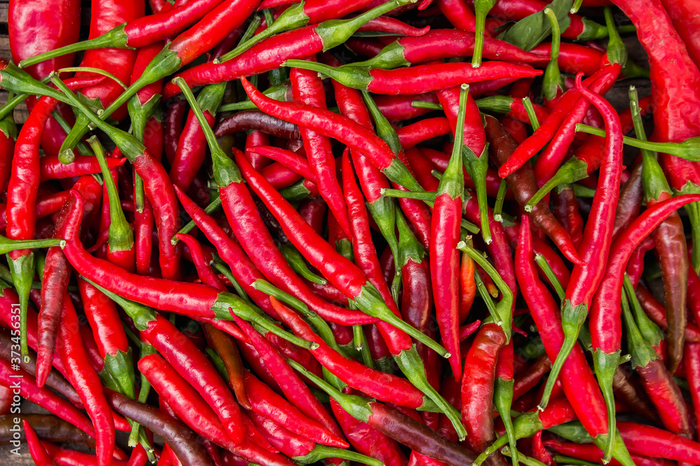 bitter red pepper on wooden background bitter red pepper on wooden background