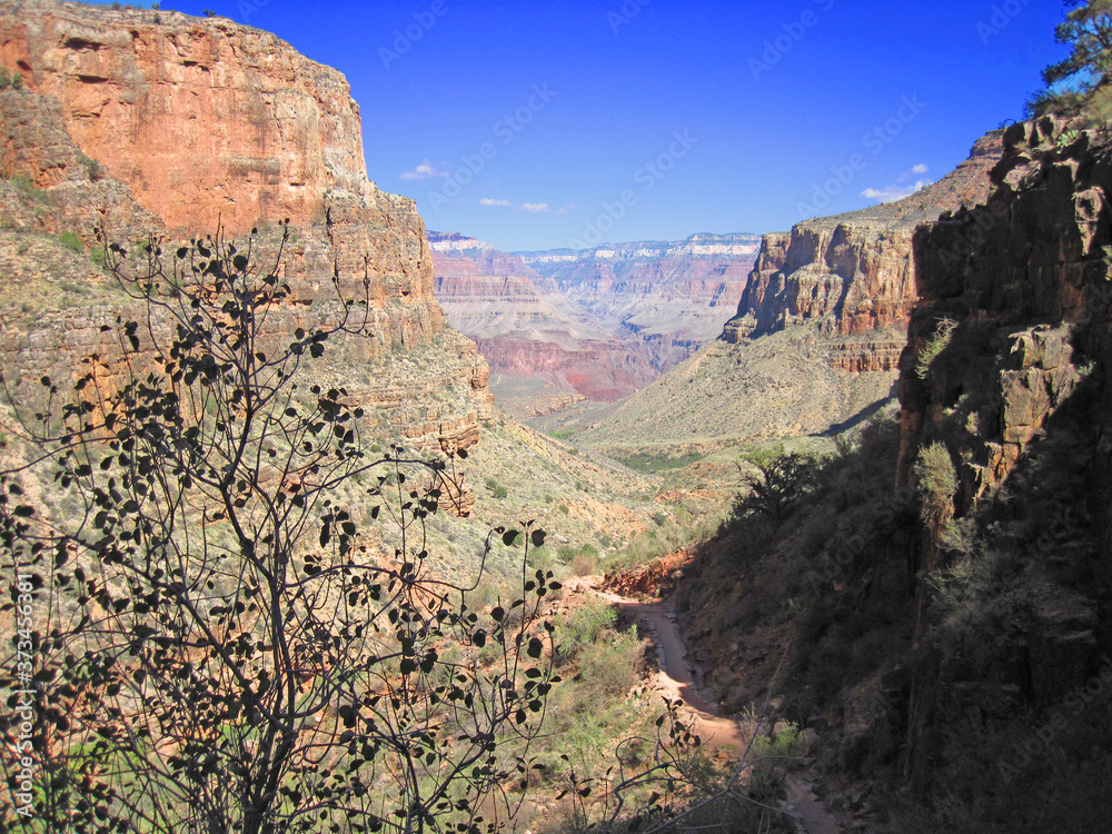 grand canyon from bright angel trail